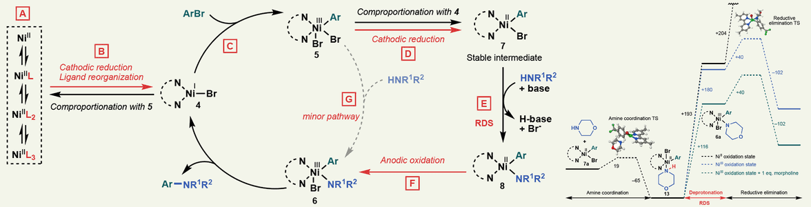 Catalysis & Electro-Chemistry